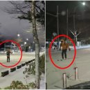 폭설로 마비된 제주 새벽 도로에 스키 타고 출근하는 남자 이미지