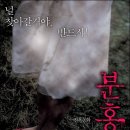분홍신