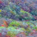 목동동로1길 이미지