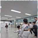 화성태권도장 이미지