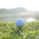 크라운컨트리클럽 골프빌리지 이미지