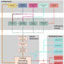 Re: 대뇌 청소 시스템, 편두통 기전, 성상교세포 등 최신 Neuroscience의 이해 이미지