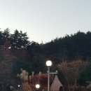 모닥불