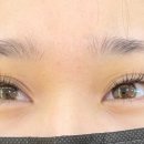 보니타디자인 이미지