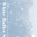 해설이 있는 클래식 발레 갈라콘서트 이미지