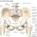 언리밋짐 이미지