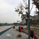 유림동 다목적구장 이미지