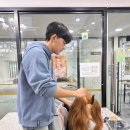 뷰티226 이미지