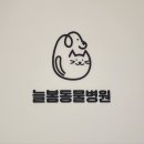 늘봄 동물병원 이미지