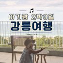 달빛제빵소 | 강릉 2박3일 여행코스 총정리｜아기와 다녀온 맛집, 숙소, 카페 모음