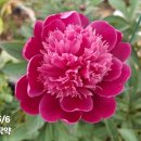 요수정옆 이미지