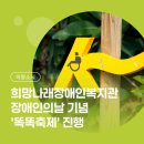 희망나래장애인복지관 | [의왕소식] 희망나래장애인복지관 장애인의 날 기념 '똑똑축제' 진행 '다름을 이해하고, 마음의 거리를...