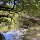 그늘막132 이미지