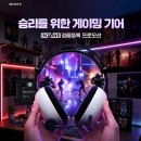 노랑통닭대전신 루리웹게임뉴스