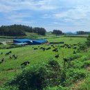 무학농원 이미지