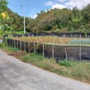 산아래농장 이미지