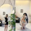 포항 씨클라우드 스파펜션 이미지