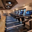 더휘트니스 이미지