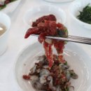 진도 맛집으로 꽃게탕이 시원했던, 꽃게선장낙지박사