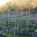 영석농장 이미지