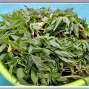 엄나무민박 이미지