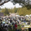 대청호대덕뮤직페스티벌 이미지