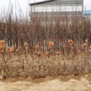 홍천군산림조합 이미지