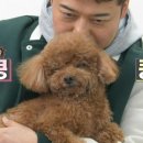 무무유치원 이미지