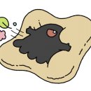 청년다방동탄 이미지
