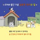 낭만강아지 이미지