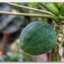 김해한림박물관 이미지