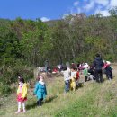 진도유치원 이미지