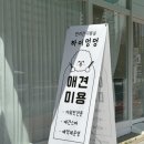 하이멍멍 이미지