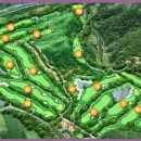 알프스장 이미지