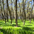 세븐일레븐 서천청소년수련관점 이미지