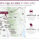 삼부르네상스 정류소 네이버블로그
