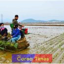 미곡농장 이미지