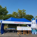 2024년 비교과 박람회(비아정) 대학혁신지원사업단 부스 운영 후기
