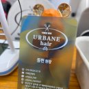 부산진구-31 이미지