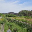 신기 감곡 숲 이미지