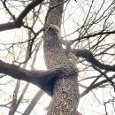 청춘고백 이미지