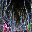 프로방스 포토랜드 이미지