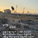십이월 이미지