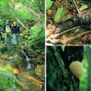 조탄농로 이미지