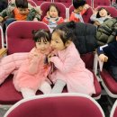 아기 돼지삼남매 겨울나기 이미지