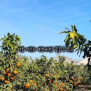 오가네농장 이미지