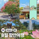 제33호공원 | 내가 사랑하는 소도시! "8월의 함안"이 얼마나 아름다운지 보여줌