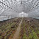 영지유치원 이미지