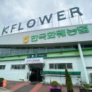 K마트 | 일산 대화| K플라워마트 어버이날 카네이션 구매후기