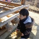 서우목장 이미지